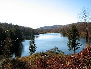 Grenville Estates